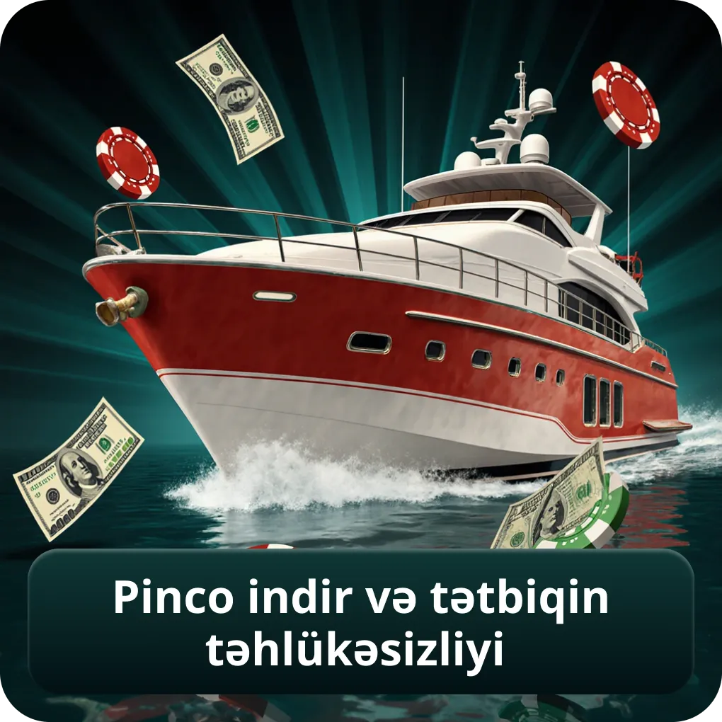 Pinco Indir və Tətbiqin Təhlükəsizliyi