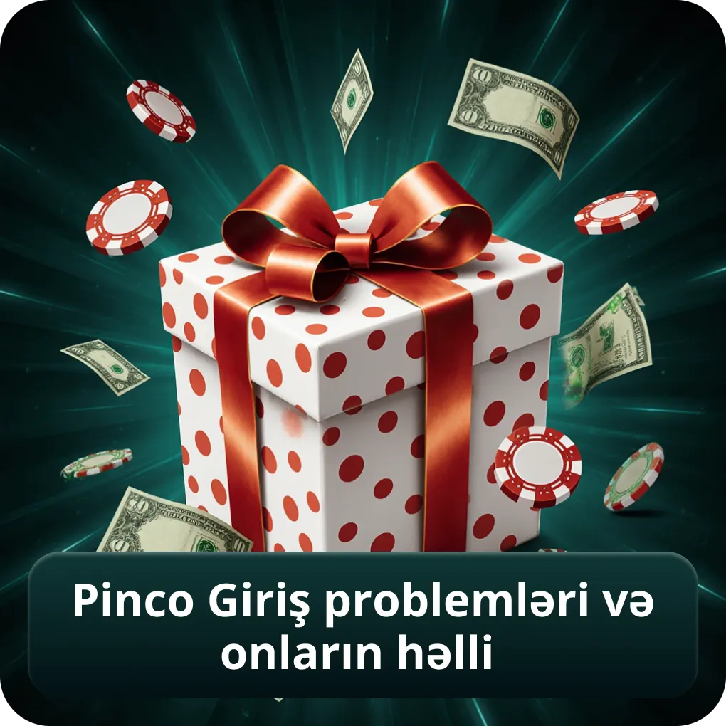 Pinco Giriş Problemləri və Onların Həlli